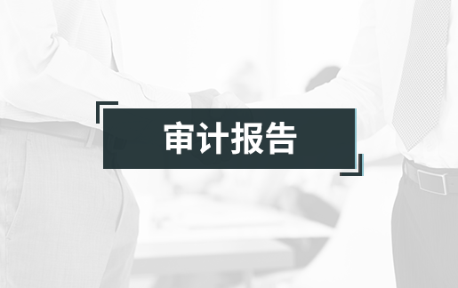 审计报告
